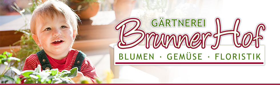 Gärtnerei Brunner Hof in Siebenkofen - Blumen - Gemüse - Floristik